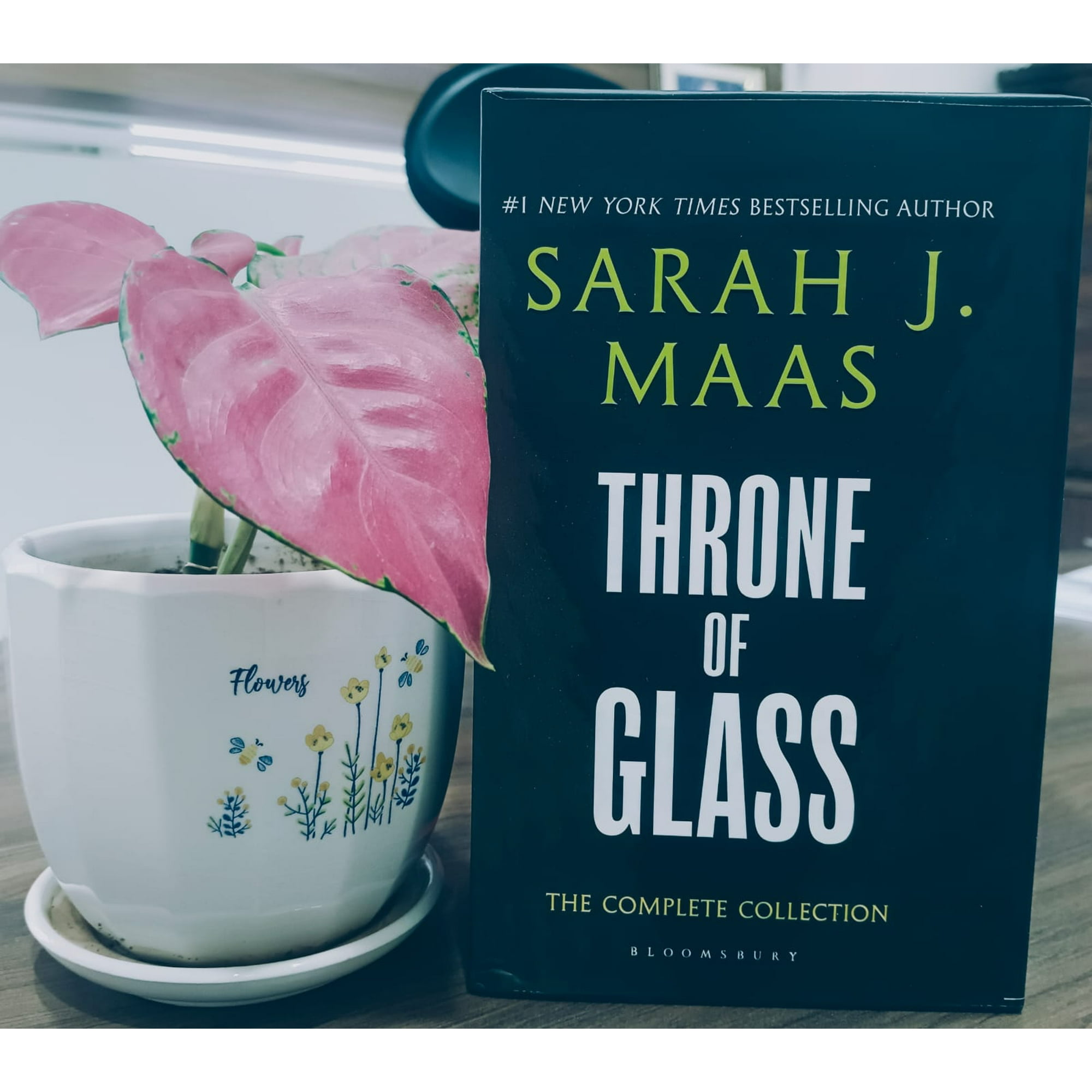 Sarah J. Maas Throne of Glass Box Set of 8 books(Paperback