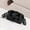 Black, variant on Alikpop Hard Shell Adult PC Cosmetic Travel Makeup Case with Zipper, Leopard Print Multicolor, 1 Piece