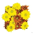 thumbnail image 2 of Quillen, Donnie 12x12 White Modern Wood Framed Museum Art Print Titled - Floral Pop III, 2 of 4