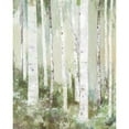 thumbnail image 3 of Pearce, Allison 15x18 Black Modern Framed Museum Art Print Titled - Quiet Beauty, 3 of 5