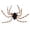 Saffron, variant on Halloween Giant Furry Spider Candy Backpack, 49.6" Scary Plush Spider Trick-or-Treat Bag, Adjustable Strap Spider Accessory for Kids Halloween Party