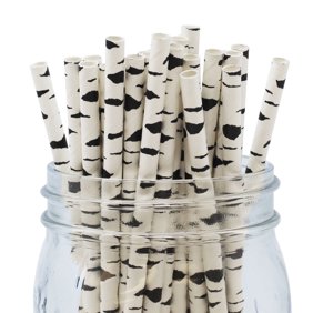 Box 144 Kikkerland Birch Paper Straw Biodegradable Birthday Party