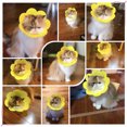 thumbnail image 4 of Collier de Récupération Tournesol Mignon Collier Protecteur pour Animaux Collier pour Chatons, 4 of 10