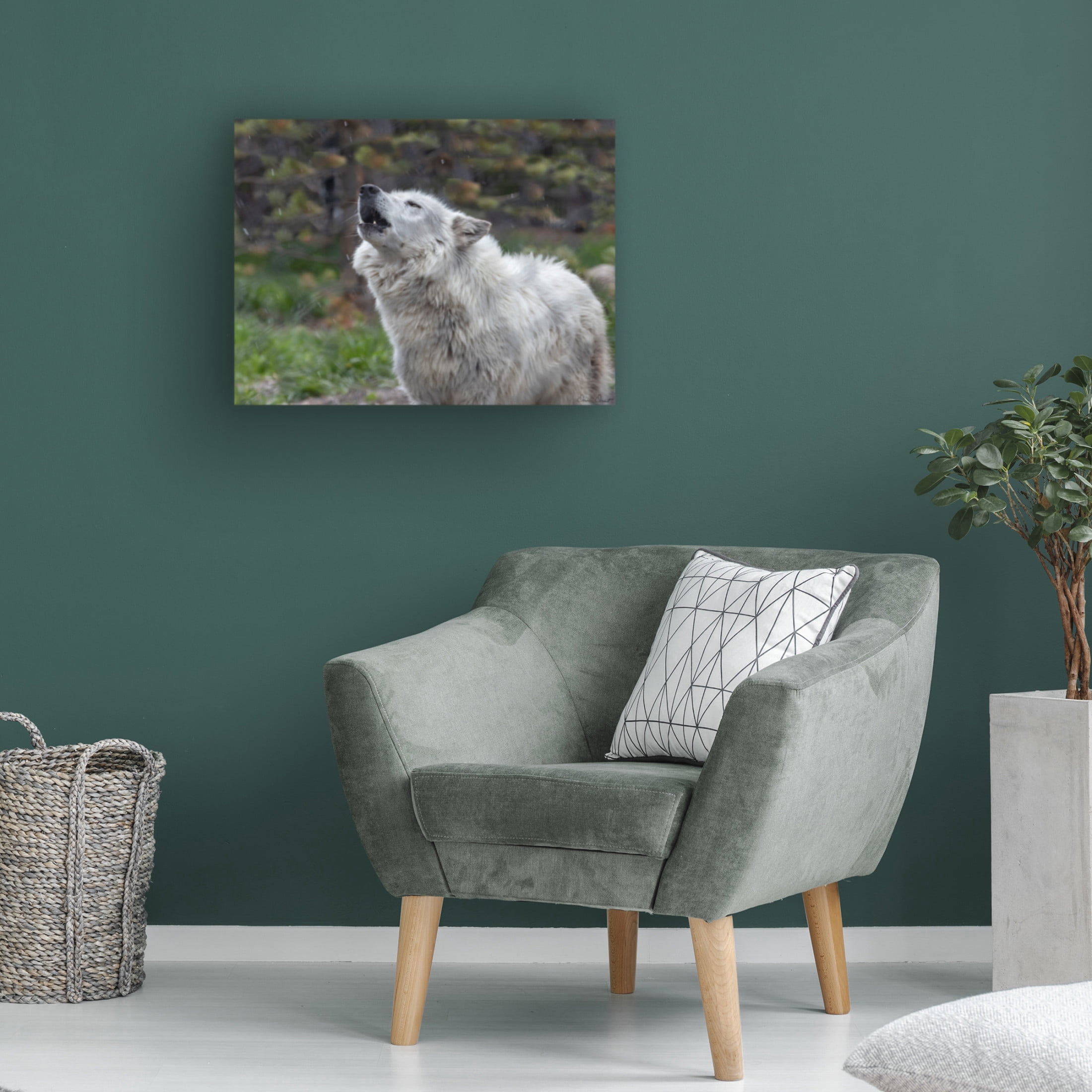 Trademark Fine Art David Drost Howling Wolf Canvas Wall Art