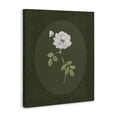 thumbnail image 2 of Stupell Industries French Country White Rose on Emerald Canvas Art, 30 x 40, by Sally Swatland, 2 of 8