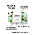 thumbnail image 2 of Dr Teal s Body Lotion Moisture Rejuvenating Eucalyptus & Spearmint 16 fl oz Pack of 2, 2 of 4