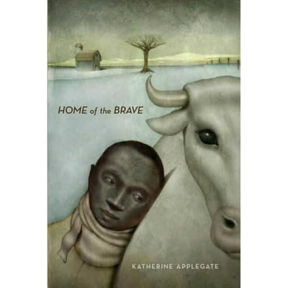 Pre-Owned Home of the Brave (Hardcover) 0312367651 9780312367657