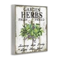 thumbnail image 3 of Stupell Industries Farmhouse Fresh Picked Garden Herbs Gray Framed Giclee Art, 11 x 14, by Creatif Belle, 3 of 8
