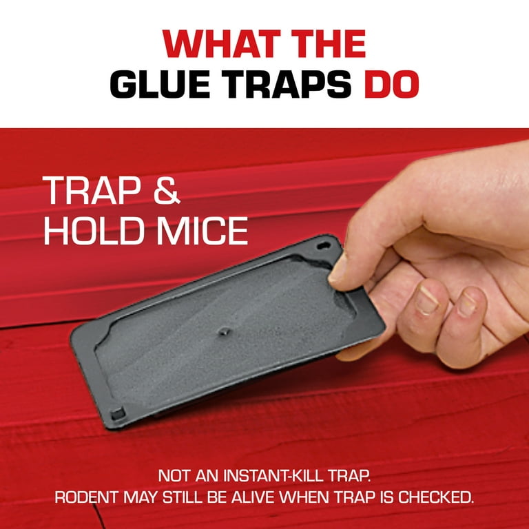 Tomcat Mouse Traps - 4 traps
