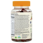Garden of Life Organics Kids Gummy Multi, 120 Organic Fruit Chews