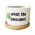 thumbnail image 1 of Interesting Unique Succulent Flower POTS Make A Great Gift For Home Gardening Ideas, 1 of 4