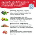 thumbnail image 2 of LifeSeasons Circulari-T - Blood Circulation Supplement - Supports Artery, Capillary & Vein Health - Butcher’s Broom, Ginkgo, Cayenne, Grape Seed & Horse Chestnut - 90 Capsules, 2 of 6