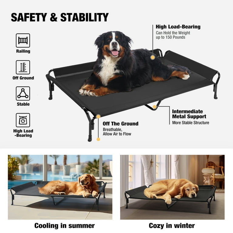 Off the ground dog beds 2025