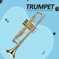 thumbnail image 2 of LADE Professional Bb Flat Brass Trumpet Instrument Set Kit Accessory (Gold), 2 of 8