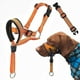 thumbnail image 1 of Dog Head Halter With Safety Strap, Dog Head Collar With Reflective Strap, No-pull Dog Collar Adjustable Dog Harness Training, 1 of 5