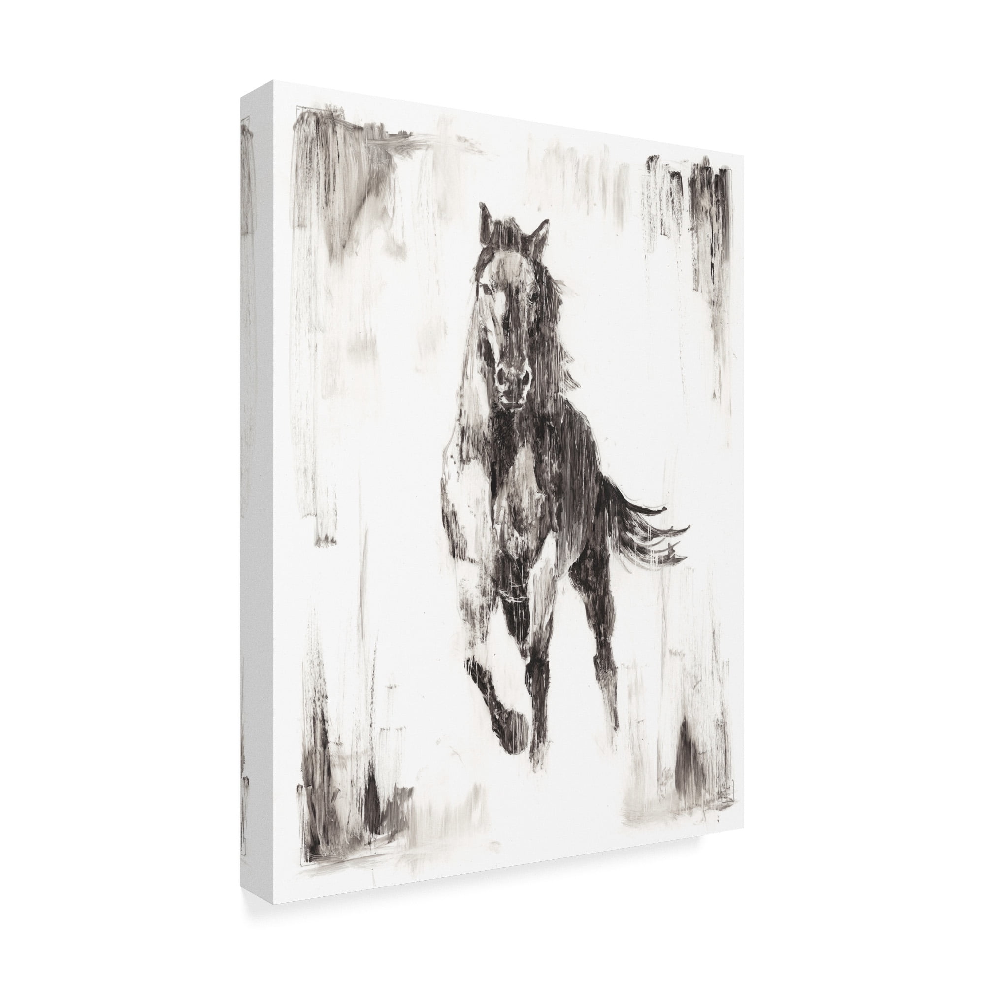 Trademark Fine Art 'Rustic Black Stallion II' Canvas Art by Ethan Harper