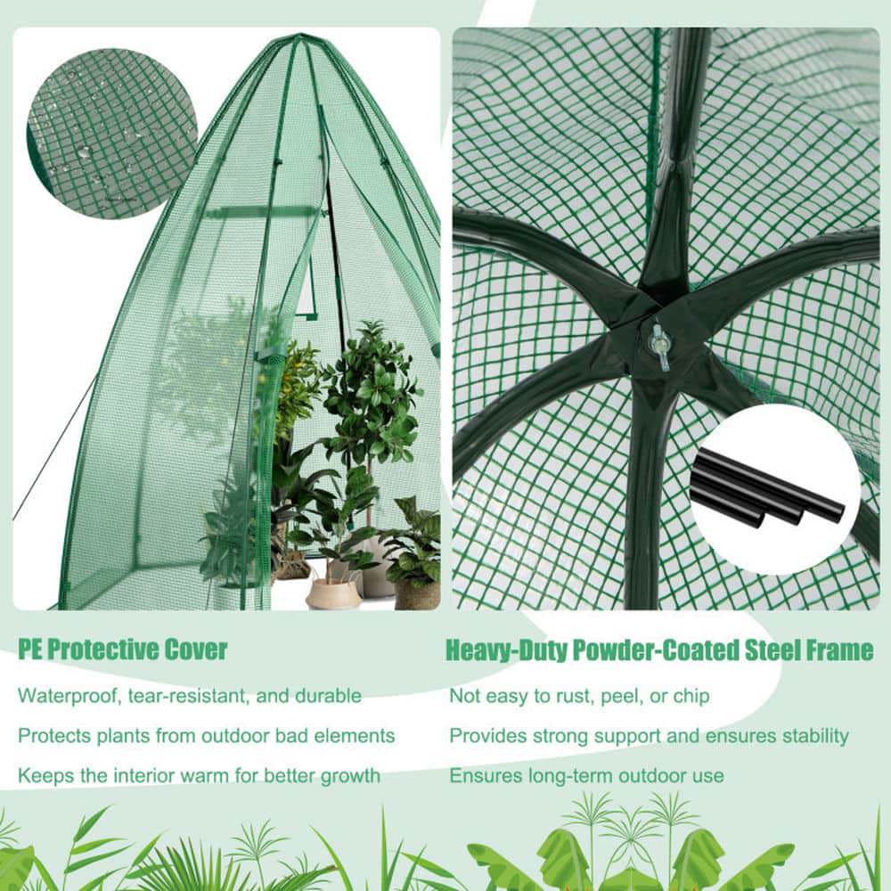 Spaco 5.5 x 5.5 x 6 Feet Portable Mini Greenhouse with All-Weather PE Cover, Mini Greenhouse with Zippered Door and Roll-up Window for Outdoor, Green
