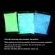 thumbnail image 1 of Polvo fluorescente, 100 g Pigmentos luminiscentes profesionales Color fosforescente Fotoluminiscencia No tóxica Aluminio Estroncio Aluminio Luces de neón Noches en pigmentos oscuros(Yellow Green) EOTVIA No, 1 of 6