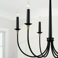 thumbnail image 3 of 6 Light Chandelier In Transitional Style-28.75 Inches Tall And 30.5 Inches Wide     -Traditional Installation Capital Lighting 445661Kb, 3 of 4