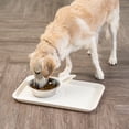 thumbnail image 3 of IRIS USA Tapis Moyen d'Alimentation "Woof" (586650), 3 of 7
