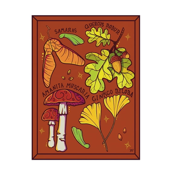 Canvas Wall Art - Rachel Feirman 'Forest Study' Wall Art for Living Room, Bedroom, or Office Décor by Trademark Fine Art - 14 x 19 Inches