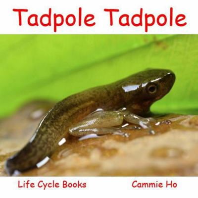 Pre-Owned Tadpole Tadpole: Life Cycle Books (Paperback) 1943241015 9781943241019