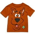 thumbnail image 3 of Scooby-Doo Scooby Doo Big Boys 3 Pack Graphic T-Shirts Multicolored 14-16, 3 of 5