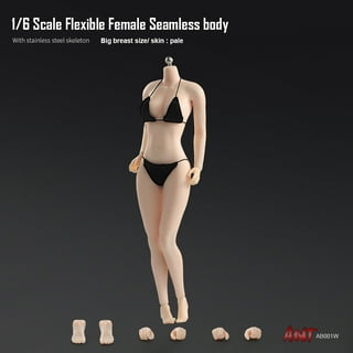1/6 Scale Female Body, 12inch Suntan Skin Middle Bust Flexible Action  Figure Body Doll Collection
