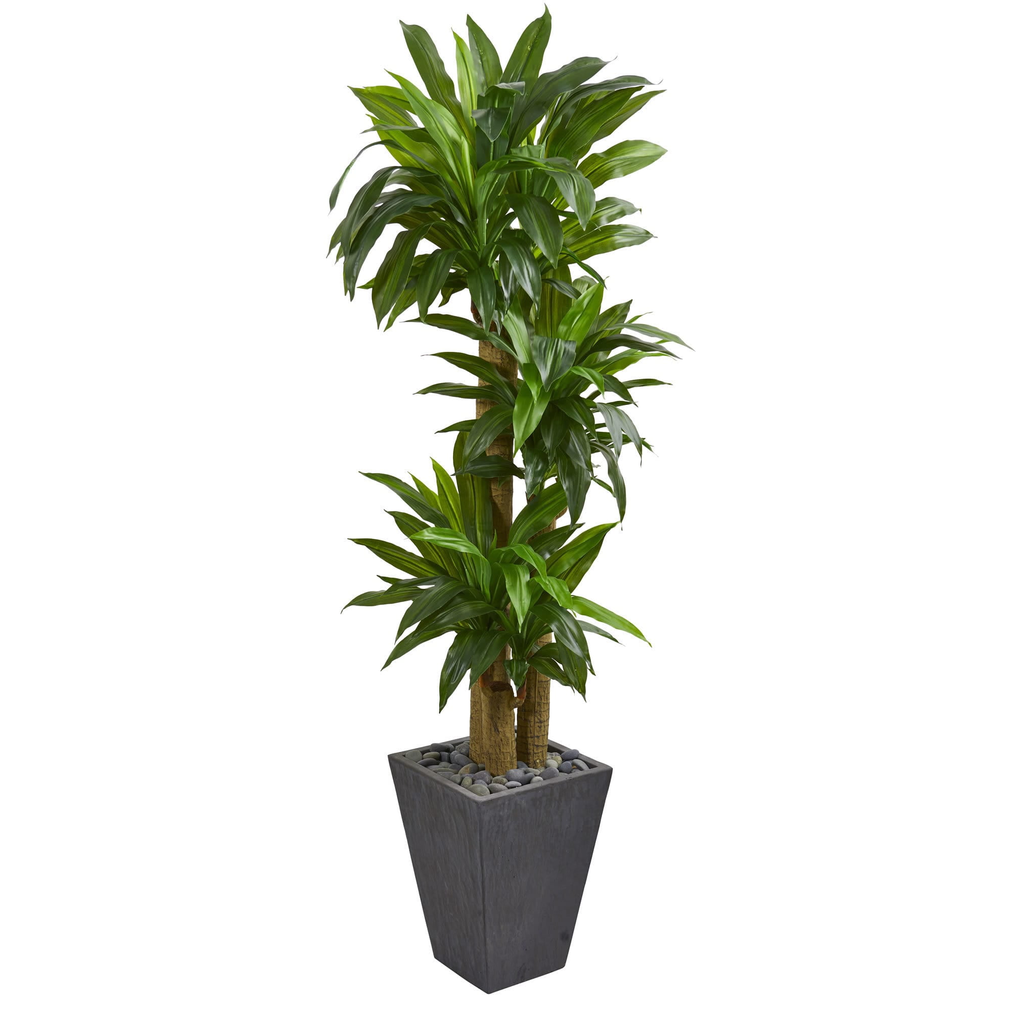 Nearly Natural 5 5 Cornstalk Dracaena Artificial Plant In Slate nearly-natural-5-5-cornstalk-dracaena-artificial-plant-in-slate