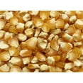 thumbnail image 2 of Organic Peaches & Cream Sweet Corn Seeds (100+ Seeds) - Mai Family, 2 of 2