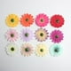 thumbnail image 5 of 10 piezas de flores artificiales de seda, flores artificiales, accesorios para el hogar mezclado, 5 of 8
