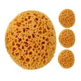 thumbnail image 1 of 4 Pcs Éponge Texture Rétractable Réparation de Cloison Sèche Éponge Texturée pour Peinture Outil de Texture Rétractable Patch Mural Éponge Texture Plafond, 1 of 7