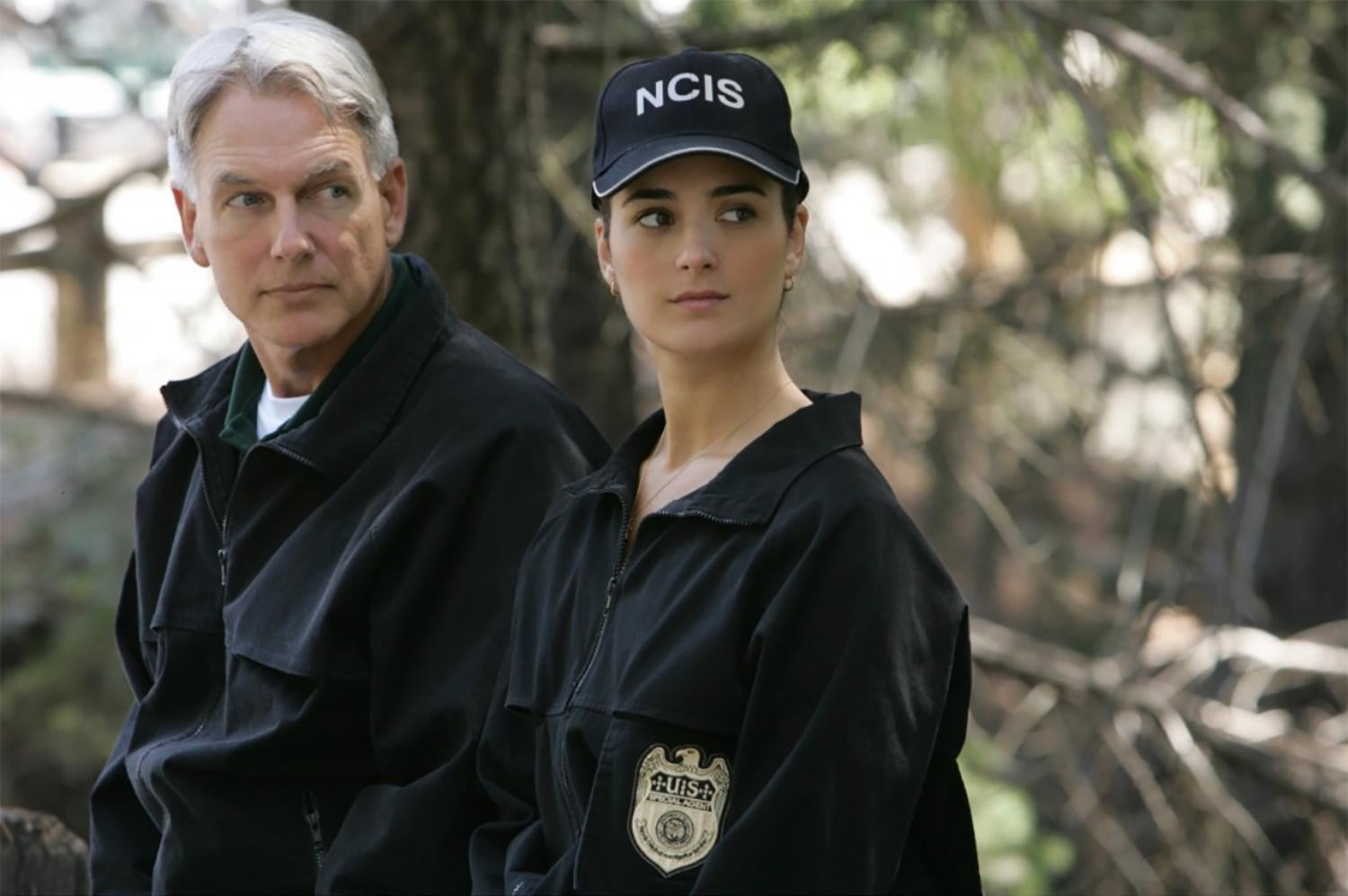 NCIS Complete TV Series Box Set Seasons 1-21 (DVD) - Walmart.com