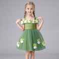 thumbnail image 2 of Robe de Baptême pour Filles, Robe Tutu Florale de Fête pour Bébé et Tout-Petit, Robe de Soirée Festive pour Anniversaire, 6 m-3 T, 2 of 9