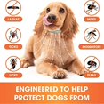 thumbnail image 3 of Collar de perro Aleko Sunrain Onmog, collar de perro de larga duración, seguro y eficaz, versión europea big dog78cm ACTIVE Biensenido a ACTIVE, 3 of 3