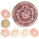 thumbnail image 5 of 7 piezas de conchas de erizo de mar decorativas para colgar plantas de aire., 5 of 7