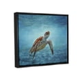 thumbnail image 3 of Stupell Industries Sea Turtle Underwater Marine Scene Deep Ocean Water Painting Jet Black Floating Framed Canvas Print Wall Art, Design by David Stribbling, 3 of 5