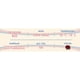 thumbnail image 4 of Delirium Red Caja 24 Pack 330Ml Delirium Minerva Belgian Fruit Beer, 4 of 4