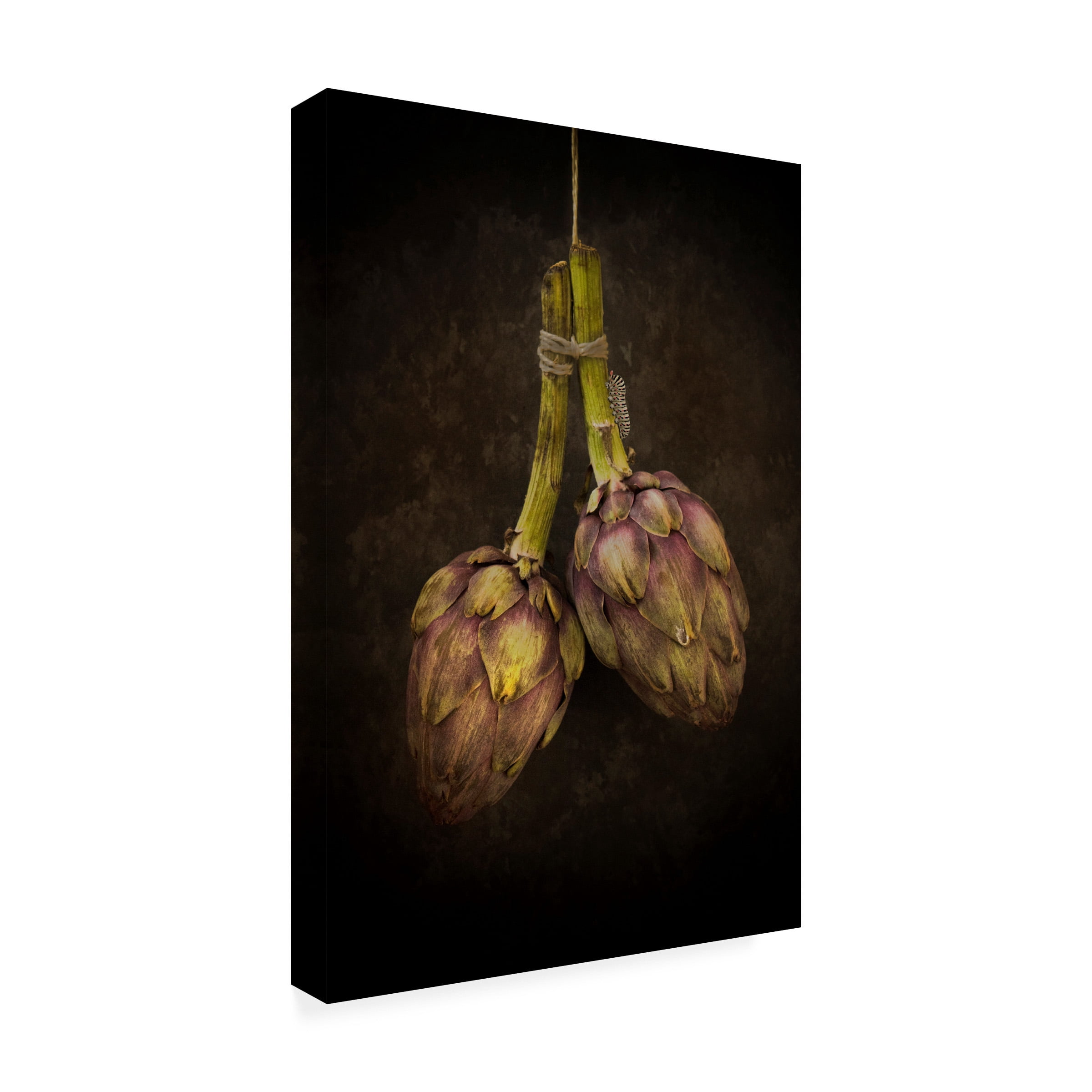 Alida Van Zaane 'Artichoke' Canvas Art