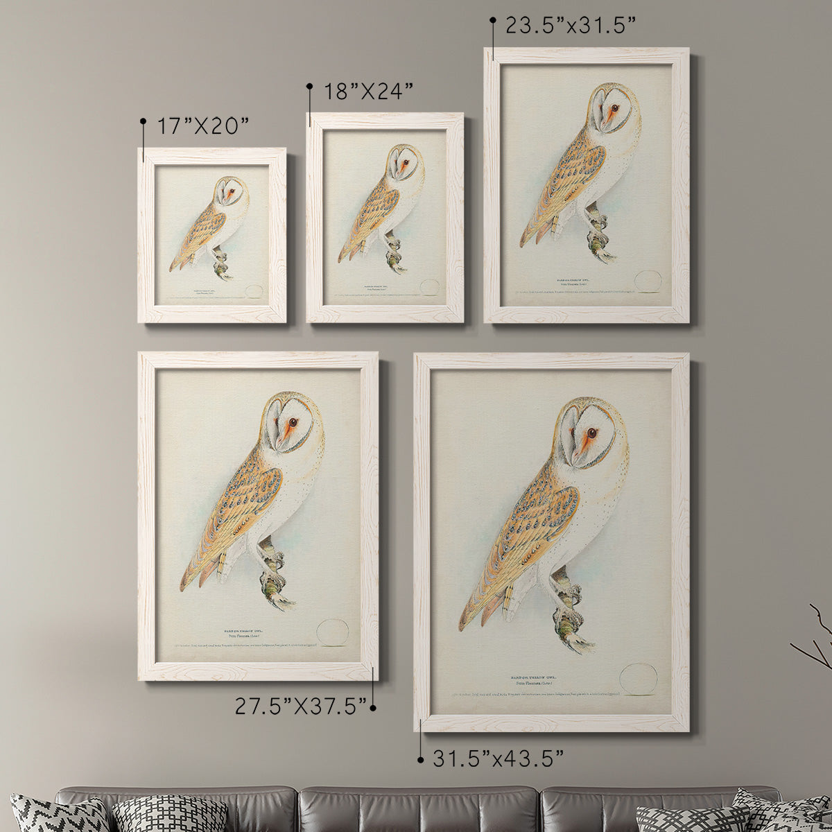 Barn Owl - Premium Framed Canvas 2 Piece Set - Ready to Hang