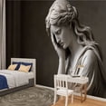 thumbnail image 2 of Peel and Stick Wallpaper 3D Effect Sad European Woman Panoramic Marble Sculpture Black Flowing Modern Art Wall Mural Decor Self Adhesive and Removable 100in x 144in, 2 of 8