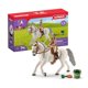 thumbnail image 1 of Set de juego con figuras Schleich Horse Club Lipizzaner Mare Horse, 1 of 3