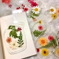 thumbnail image 6 of RUseeN 40Pcs Transparent Dried Flower Bookmarks, Handmade Dried Flower Bookmarks, Dried Flower Bookmark Kit, Handmade DIY Transparent Bookmark Beautiful Flower Page, 6 of 7