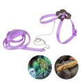 thumbnail image 3 of Bearded Dragon Leash, Bearded Dragon Harness Bearded Dragon Leash And Harness Set Adjustable Lizard Walking Control Traction Rope for Reptiles Carrying Walking, 3 of 8