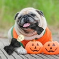 thumbnail image 5 of MASBRILL Skull Dog Toys– Durable Dog Toys for Aggressive Chewers & Chew Toy Non-Toxic Food Safe Natural Rubber, 5 of 7