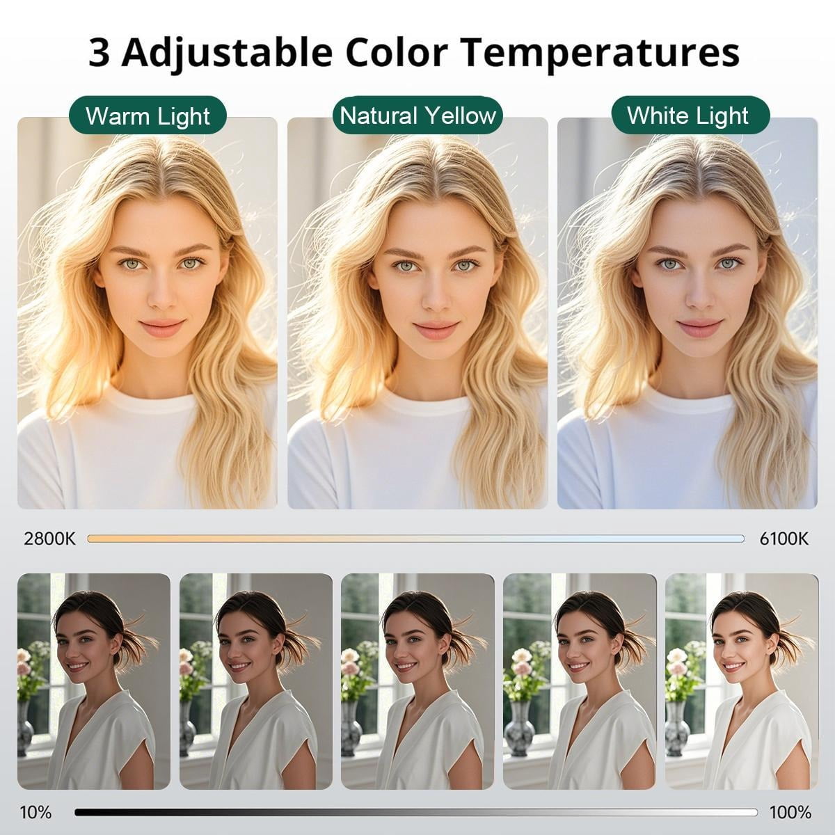 ZOMEI 10" Professional Circle Light with Adjustable Tripod Stand & Phone Holder, Essential for Makeup Artists, YouTube Videos, Computer Work, Vlogging, TikTok Live, Smartphone Photography, etc