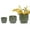 Antique Light Green, variant on S-HOME Set of 3 Antique Light Green Ceramic Planters, 15" 12" 9" Modern Flower Pots for Indoor/Outdoor