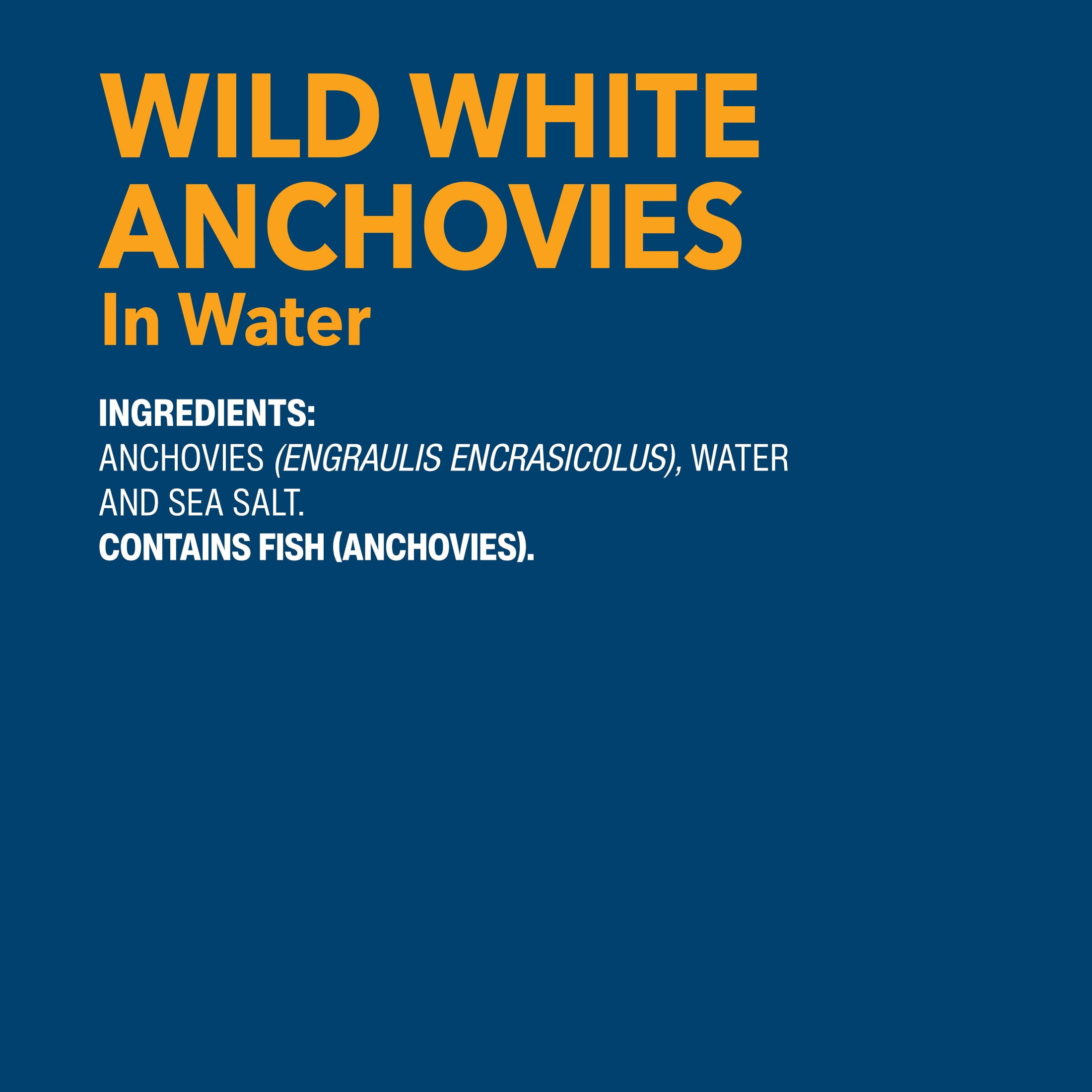 (6 pack) Wild Planet Wild Caught White Anchovies in Water with Sea Salt, 4.4 oz Can