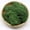 Deep Green, variant on Tucknest Artificial Moss, 0.35 oz Faux Moss for Crafts, Preserved Natural Dry Moss for Potted Plants Home Decor, Pink