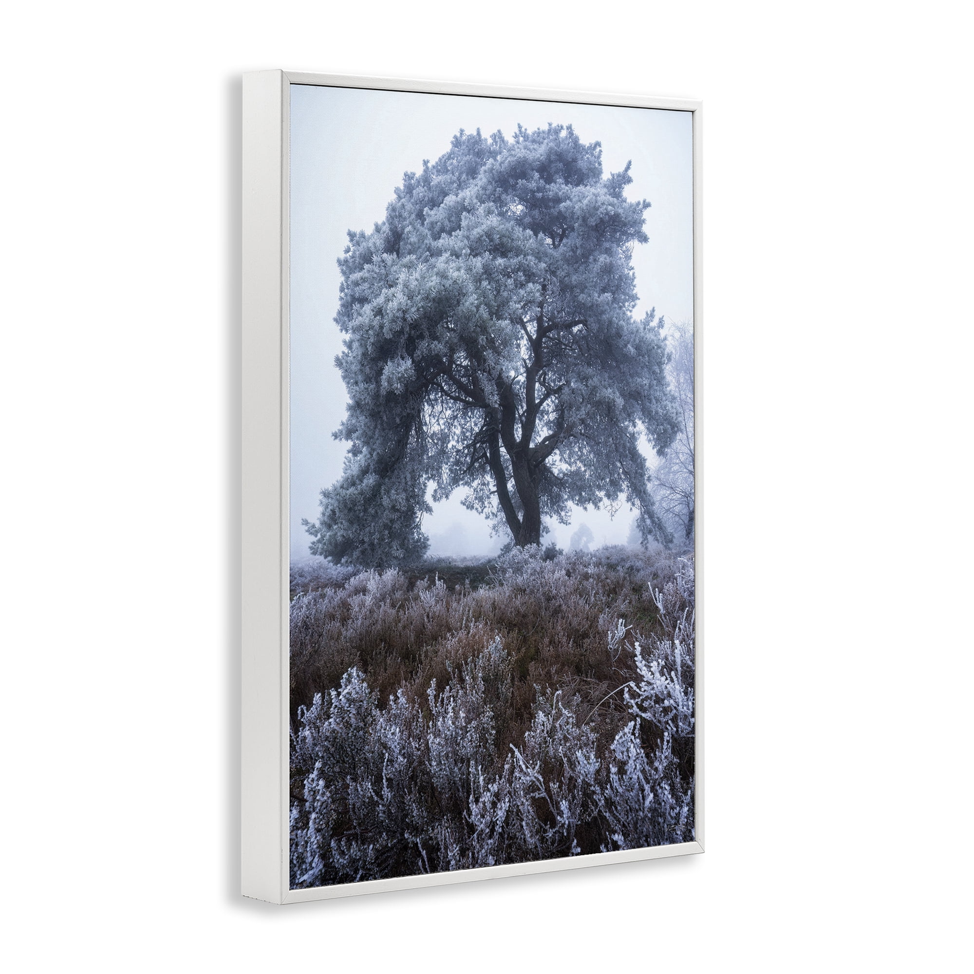 Stupell Industries Frosted Tree in Winter Mist White Framed Giclee Art, design by Martin Podt